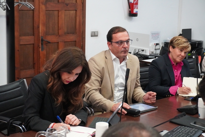 El vicepresident Andrés Martínez assistix a la Comissió de Turisme de la FEMP