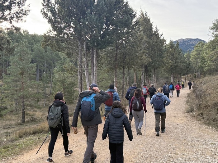 La Diputació mobilitza a 1.185 persones en el seu programa de senderisme que descobrix la província i reforça la seua aposta pel turisme responsable
