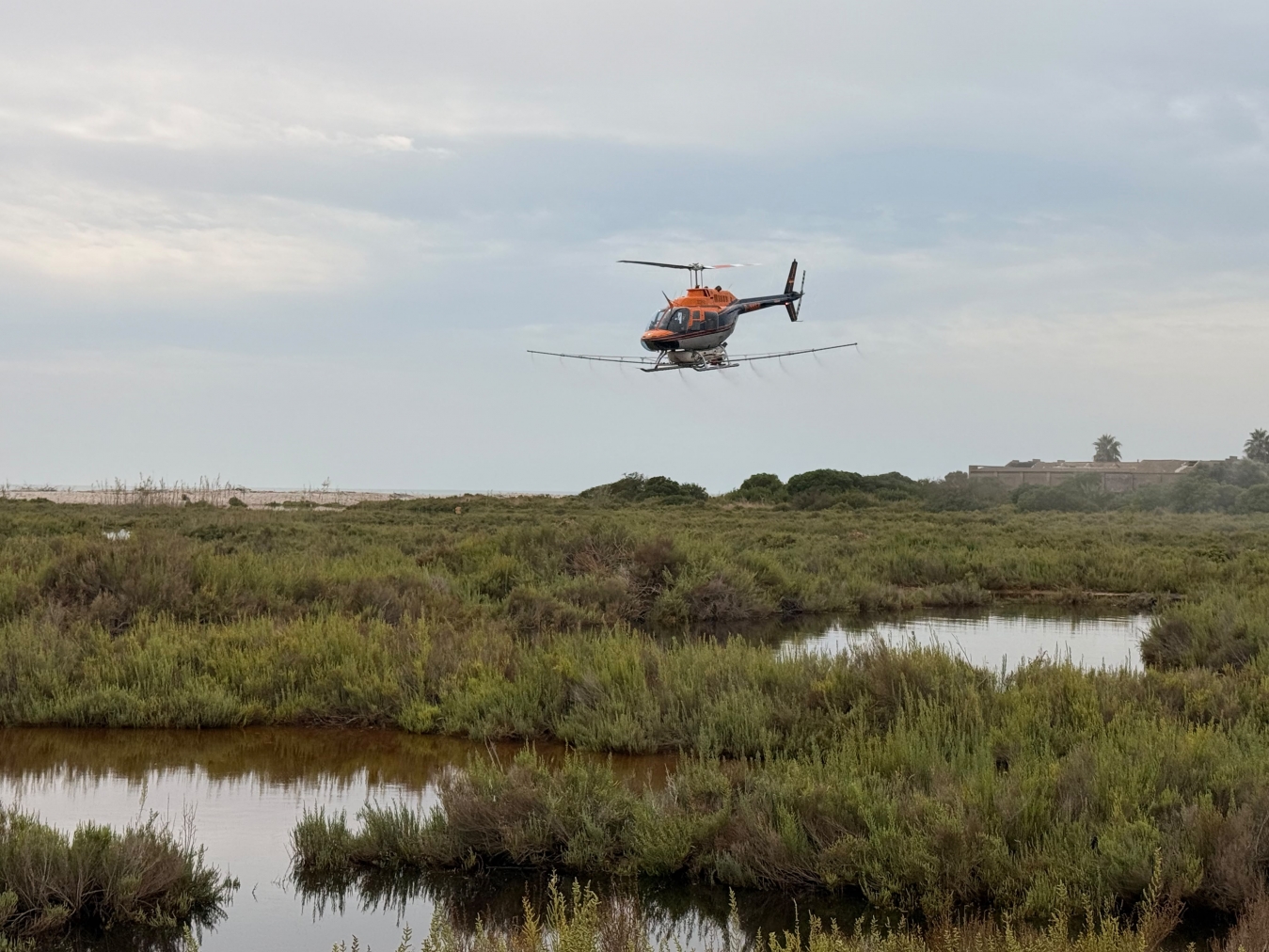La Diputació de Castelló intensifica els tractaments contra els mosquits per via aèria i terrestre